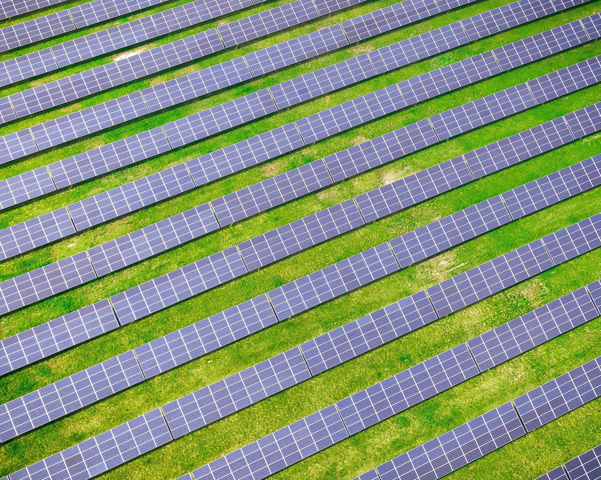 derek-sutton-SxDPsKCGk40-unsplash
